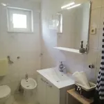 Peran Grebaštica